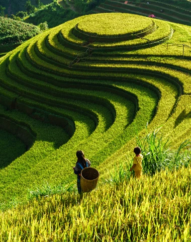 Séjour au Vietnam